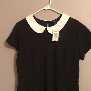 Peter Pan collar dress